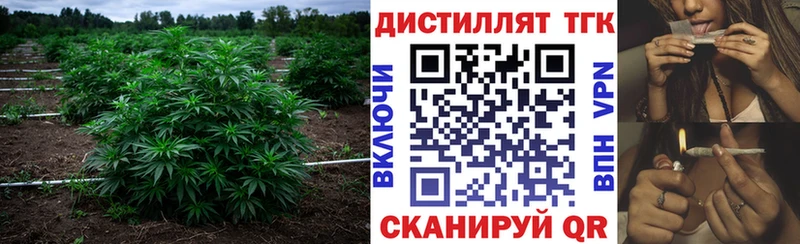 ТГК THC oil  Купить  Магас 