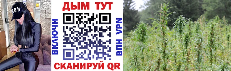 Конопля план  Купить где  Магас 